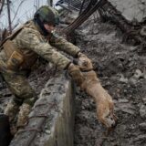 In der Ostukraine holt ein Soldat einen Hund aus einem zerstörten Gebäude