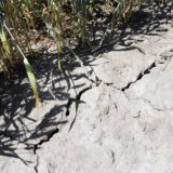 Trotz Hitzeperioden und Klimawandel soll die Wasserversorgung in Ascheberg und Herbern sicher sein.