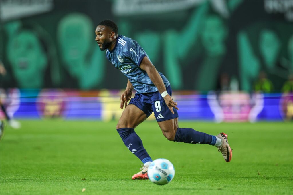 Schalkes erfolgreichster Torschütze: Moussa Sylla. Schalkes erfolgreichster Torschütze: Moussa Sylla.