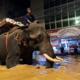 Ein Mönch reitet auf einem Elefanten durch Hochwasser, um Bewohnern in der thailändischen Provinz Chiang Mai Hilfsgüter zu bringen.
