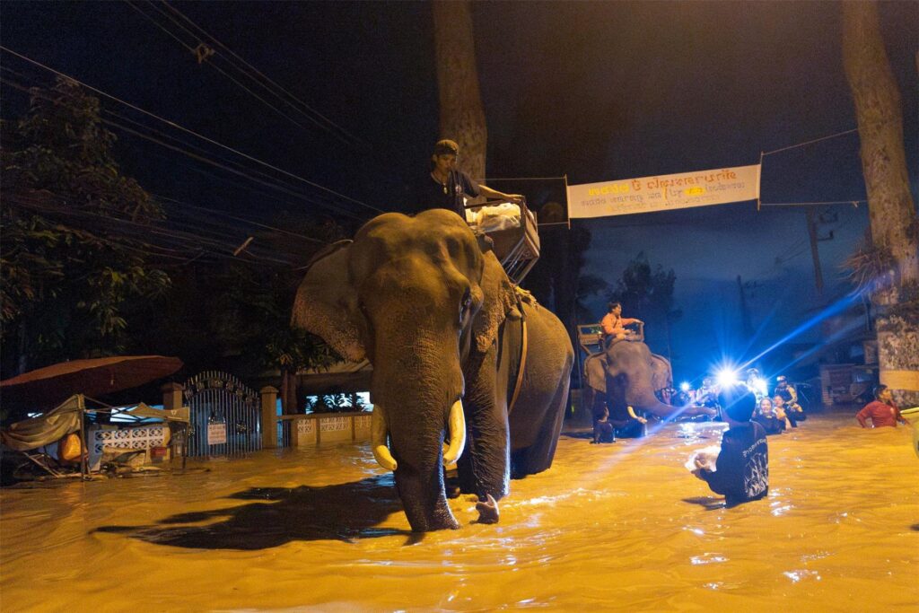 Ein Mönch reitet auf einem Elefanten durch Hochwasser, um Bewohnern in der thailändischen Provinz Chiang Mai Hilfsgüter zu bringen. Ein Mönch reitet auf einem Elefanten durch Hochwasser, um Bewohnern in der thailändischen Provinz Chiang Mai Hilfsgüter zu bringen.