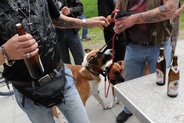 Männer mit Bierflaschen und Hunden treffen sich im Freien