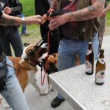 Männer mit Bierflaschen und Hunden treffen sich im Freien
