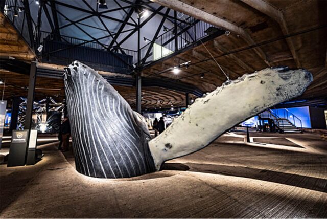 Die „Planet Ozean“-Ausstellung im Gasometer Oberhausen.