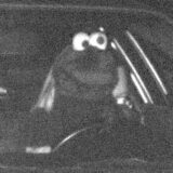 Ein mobiler Blitzer der Polizei Dortmund hat auf der A45 bei Dortmund ein etwas anderes Foto geschossen: Eine Person mit lustigem Kostümkopf sitzt am Steuer. Die Verkleidung erinnert laut Polizei an eine Figur aus der Muppetshow oder der Sesamstraße.