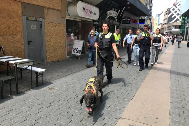 Mit einem Spürhund hat die Polizei vor einem Jahr nach dem Täter gefahndet.