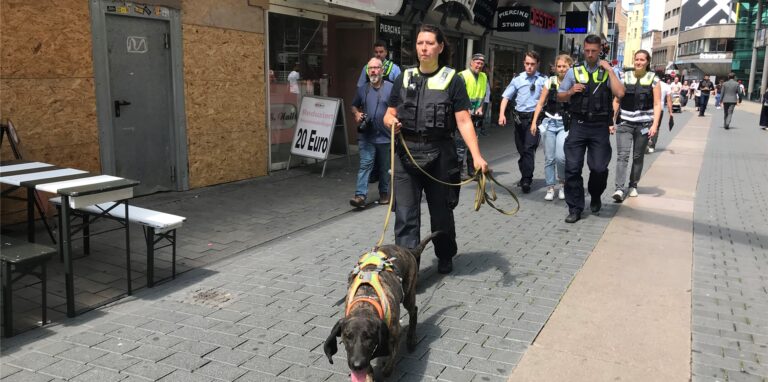 Mit einem Spürhund hat die Polizei vor einem Jahr nach dem Täter gefahndet.