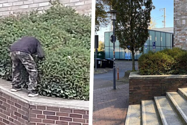 Die Montage zeigt ein Hochbeet neben einer Treppe am Unnaer Rathaus. Auf einem der Bilder steckt eine gebeugt stehende Person ihren Kopf ins Gebüsch