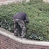 Die Montage zeigt ein Hochbeet neben einer Treppe am Unnaer Rathaus. Auf einem der Bilder steckt eine gebeugt stehende Person ihren Kopf ins Gebüsch