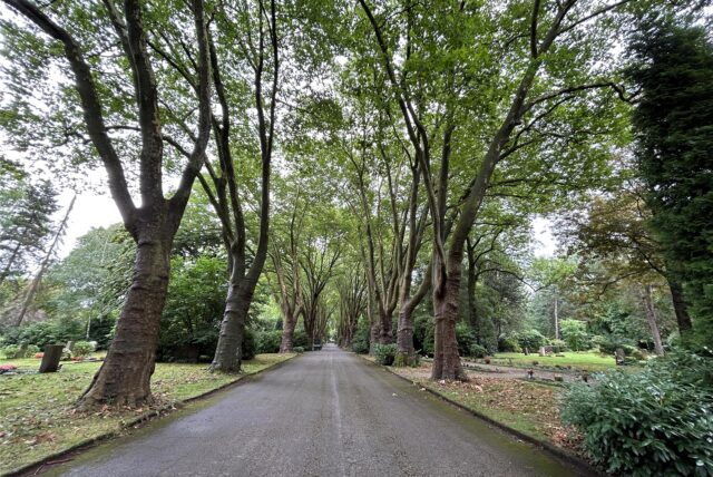 Blick auf einen Weg auf dem Südfriedhof in Dortmund.