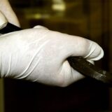 Zwei Hände mit weißen Latexhandschuhen, die mit einem Brecheisen ein Fenster aufhebeln.
