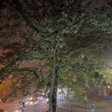 Nebel legt sich am Abend des 6. November 2024 über den Verkehrsring in Unna.