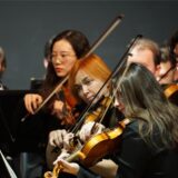 Musikerinnen und Musiker spielen Geige