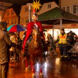 Pferd beim Martinsumzug