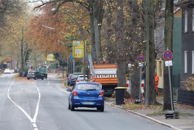 Auf der Hammer Straße in Kamen wird zurzeit eine halbseitige Sperrung eingerichtet. Über vier Wochen sollen die Arbeiten dort andauern.