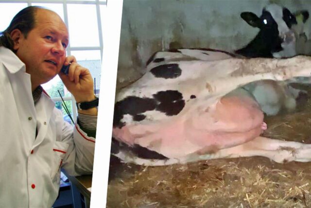 Das Amtsgericht Lünen verhandelt ab Mittwoch, 27. November 2024, gegen Firmenchef Marko Mecke unter anderem wegen Tierquälerei.