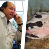 Das Amtsgericht Lünen verhandelt ab Mittwoch, 27. November 2024, gegen Firmenchef Marko Mecke unter anderem wegen Tierquälerei.