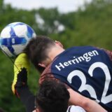 Ein B-Jugendlicher von SVF Herringen wurde jetzt für zwei Monate gesperrt.