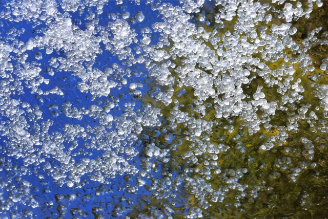 Hagelkörner vermischt mit Regenwasser bedecken eine Glasscheibe