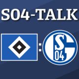 23.11.2024, Fussball, Saison 2024/2025, 2. Bundesliga, 13. Spieltag, Hamburger SV – FC Schalke 04, Amin Younes (FC Schalke 04)