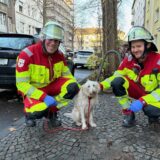 Der gerettete Hund wird durch den Rettungsdienst in Dortmund betreut.