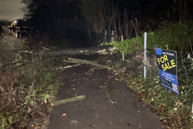 Ein entwurzelter Baum liegt auf einem Gehweg am Cappenberger See in Lünen.