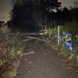 Ein entwurzelter Baum liegt auf einem Gehweg am Cappenberger See in Lünen.