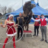 Artisten stehen mit einem Kamel vor dem Zelt des Dortmunder Weihnachtscircus.