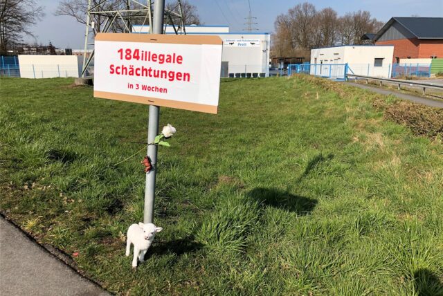 Tierschützer hatten nach der Schließung des Schlachthofes Prott in Selm dieses Schild vor dem Gelände angebracht. Am 12. Dezember 2024 hat das Landgericht ein Urteil gesprochen.