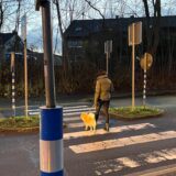 Eine Passantin mit Hund auf dem Zebrastreifen, ein LKW hält