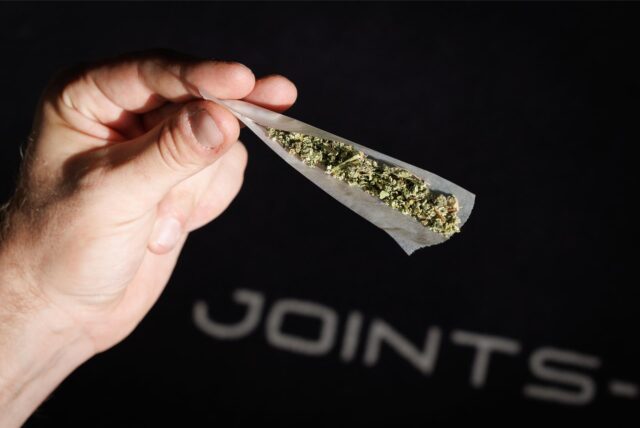 Ein Joint mit Cannabis ist im «Social Club» namens «Joints-Venture» zu sehen.