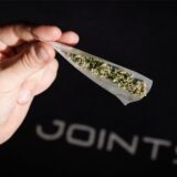 Ein Joint mit Cannabis ist im «Social Club» namens «Joints-Venture» zu sehen.