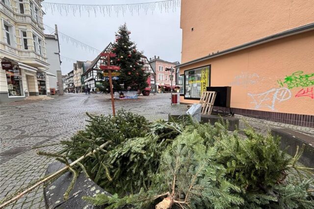 Mehrere Tannenbäume liegen übereinander auf dem Unnaer Marktplatz.