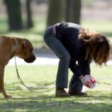 Eine Hundehalterin sammelt die Hinterlassenschaft ihres Vierbeiners auf einer Wiese auf.