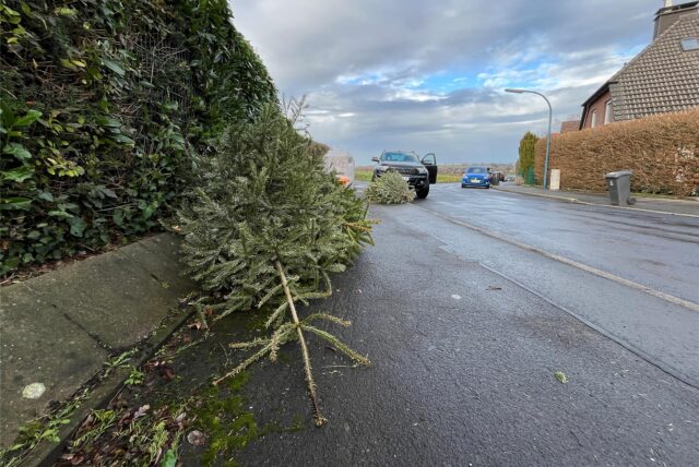 Ein Weihnachtsbaum liegt in der Reuterstraße zur Abholung bereit.