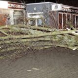 Ein Baum fiel am Montagabend auf den Parkplatz vor dem Tattoo-Studio an der Kamener Straße in Unna-Königsborn.