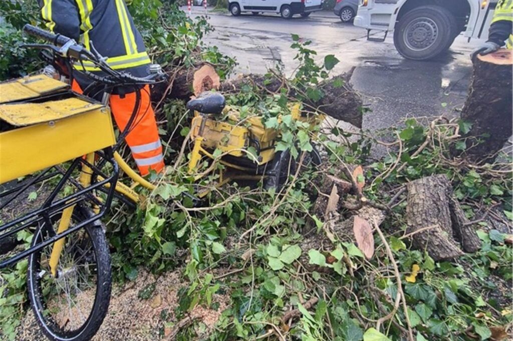 Die Feuerwehr Bochum entfernt einen umgestürzten Baum auf einem Fahrrad einer Briefträgerin.