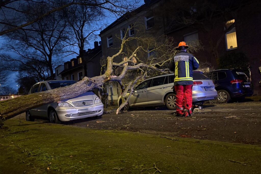 Die Feuerwehr Bochum im Einsatz: Ein Baum ist im Stadtteil Stiepel auf mehrere Autos gestürzt.