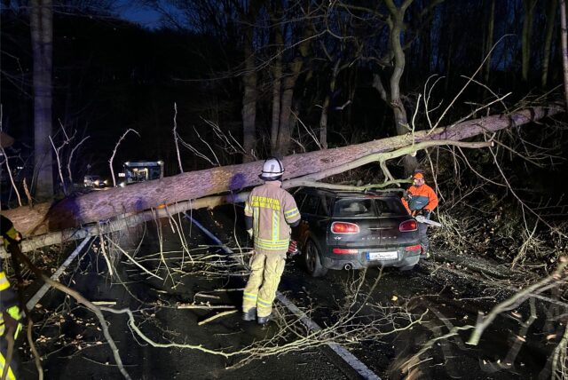 Auf der Ardeyer Straße ist ein großer Baum auf ein Auto gefallen.