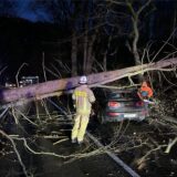 Auf der Ardeyer Straße ist ein großer Baum auf ein Auto gefallen.