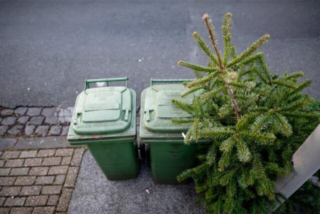 Ein Tannenbaum an der Straße neben zwei Biotonnen