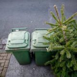 Ein Tannenbaum an der Straße neben zwei Biotonnen