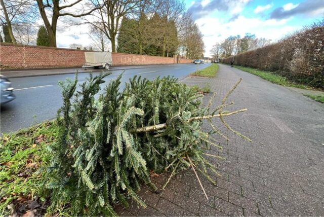 Ein Weihnachtsbaum wartet in Holwickede am Straßenrand auf seine Abholung.