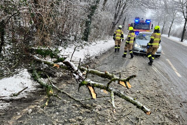 Ein Baum versperrt auf dem Schattweg in Kamen einseitig die Straße. Im Hintergrund sind drei Feuerwehrleute bei ihrer Arbeit zu sehen.