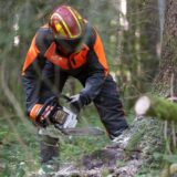 Ein Mann fällt einen Baum.