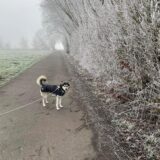 Winter in Kamen