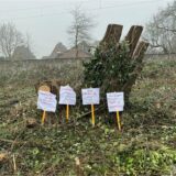 Links Protestplakate vor einem abgeholzten Baum, rechts im Bild Dr. Tobias Gehrke, Betriebsleiter des Kommunalbetrieb Werne.