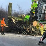 Arbeiter fällen Linden an der Hertingerstraße in Unna mit Motorsäge und einem Harvester.
