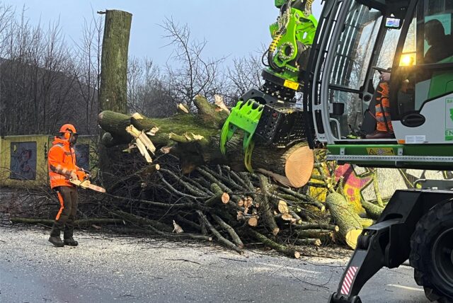 Arbeiter fällen Linden an der Hertingerstraße in Unna mit Motorsäge und einem Harvester.