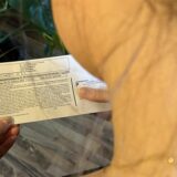 Eine Frau hält eine Wahlbenachrichtigung in den Händen.